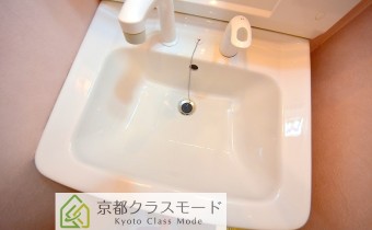 シャンプードレッサー
