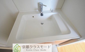 シャンプードレッサー