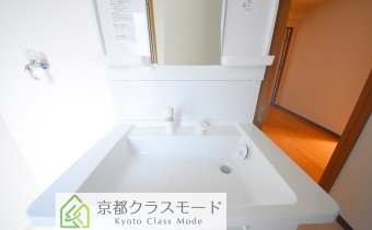 シャンプードレッサー