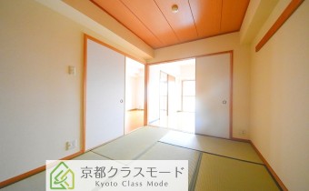 和6