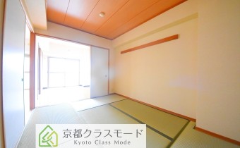 和6