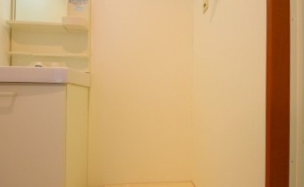 室内洗濯機置場