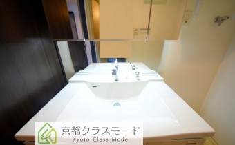 シャンプードレッサー