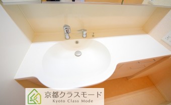 シャンプードレッサー