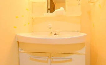 シャンプードレッサー