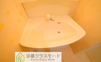 シャンプードレッサー