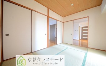 和6