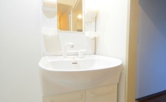 シャンプードレッサー
