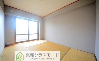 和6