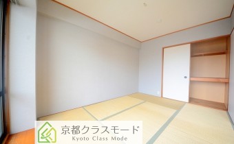 和6