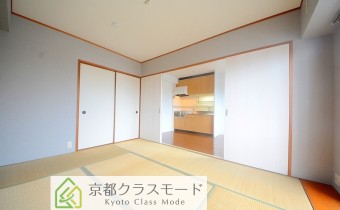 和6