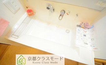 シャンプードレッサー