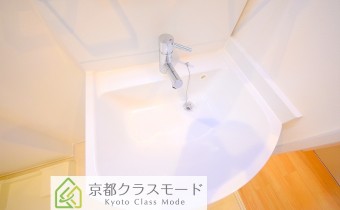 シャンプードレッサー