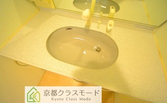 シャンプードレッサー
