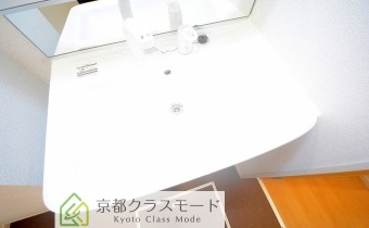 シャンプードレッサー