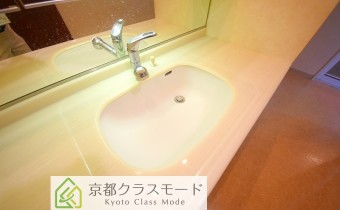 シャンプードレッサー