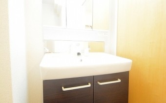 シャンプードレッサー