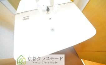 シャンプードレッサー