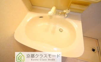 シャンプードレッサー