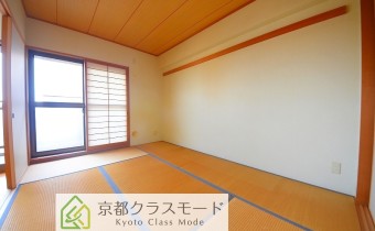 和6
