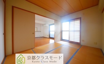 和6