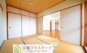 和6