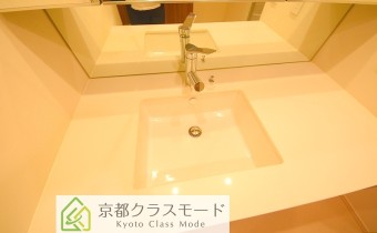 シャンプードレッサー
