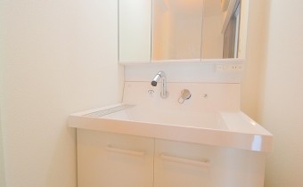 シャンプードレッサー