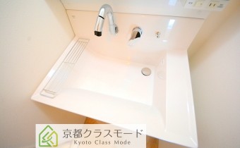 シャンプードレッサー