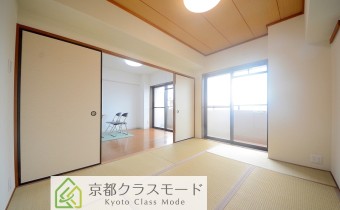 和6