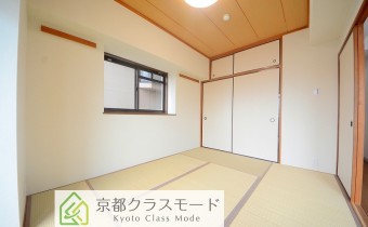 和6