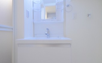 シャンプードレッサー