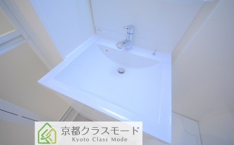 シャンプードレッサー