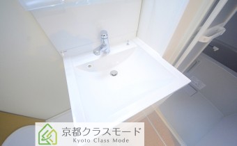 シャンプードレッサー