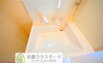 シャンプードレッサー
