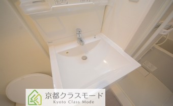 シャンプードレッサー