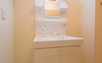 シャンプードレッサー