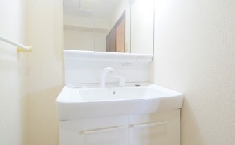 シャンプードレッサー