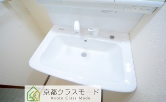 シャンプードレッサー