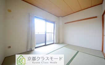 和6