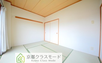和6