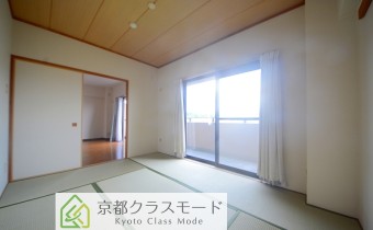 和6