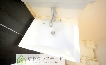 シャンプードレッサー