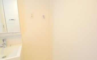 ※同シリーズの参考写真です
