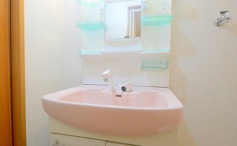 シャンプードレッサー