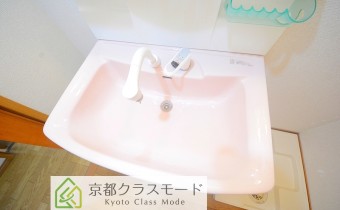シャンプードレッサー