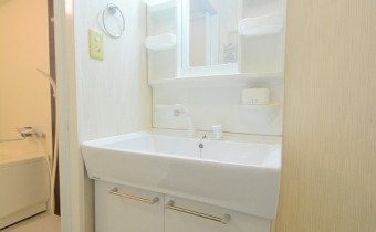 シャンプードレッサー
