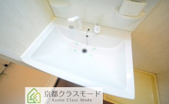 シャンプードレッサー