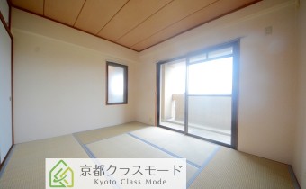 和6