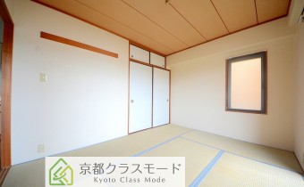 和6